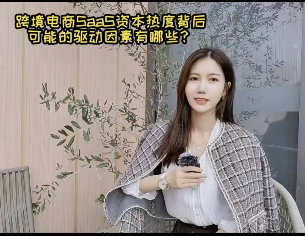 #跨境電商SaaS#資本熱度背后的驅(qū)動因素都有哪些？
