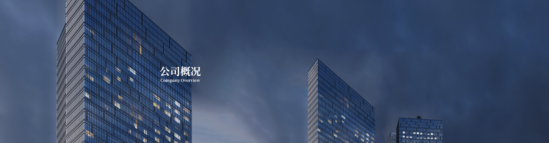 公司概況