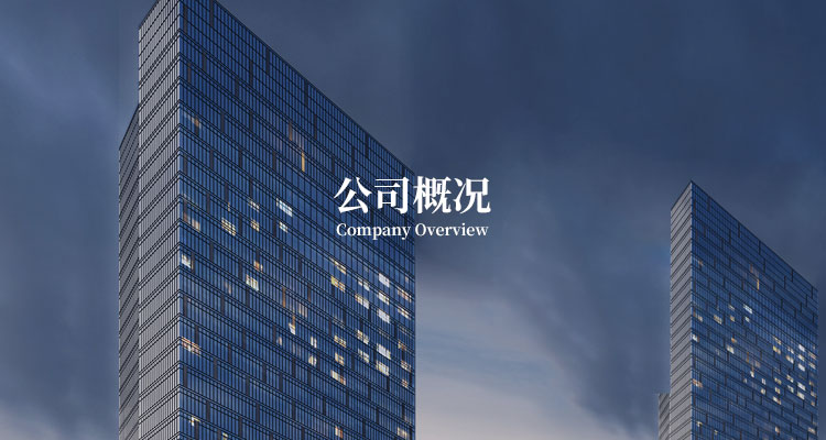 公司概況